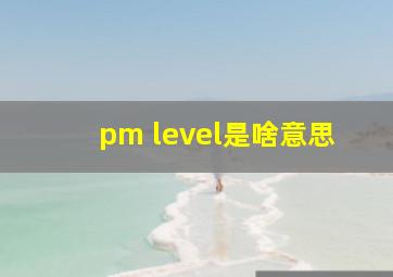 pm level是啥意思